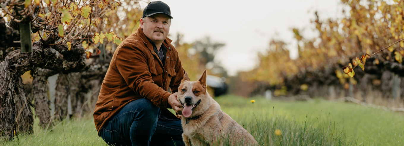 A man with a dog at Fermoy Estate vineyard